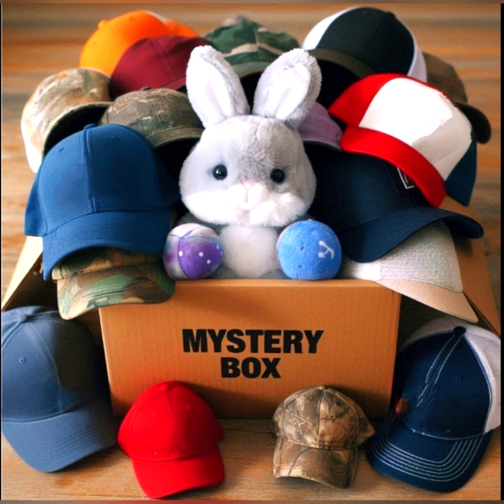 Mystery Box of Baseball-style Caps / Trucker Hats All NWOT or NWT UNISEX 🧢